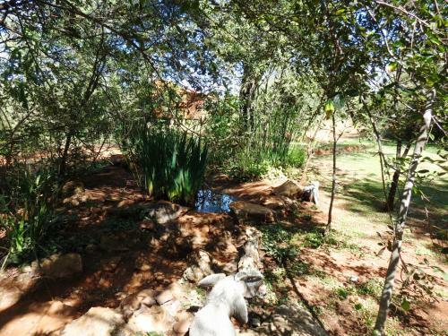 Meerkatplaats Guesthouse And B&B