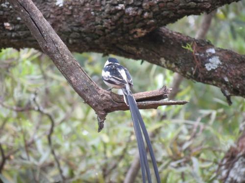 Meerkatplaats Guesthouse And B&B