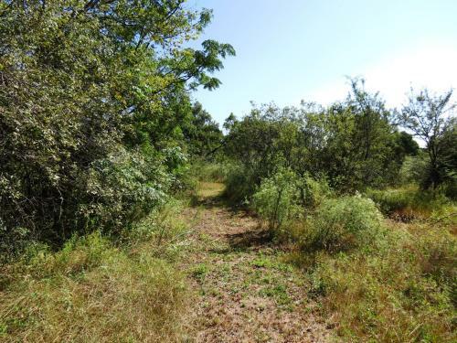 Meerkatplaats Guesthouse And B&B