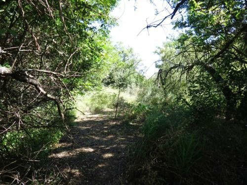 Meerkatplaats Guesthouse And B&B