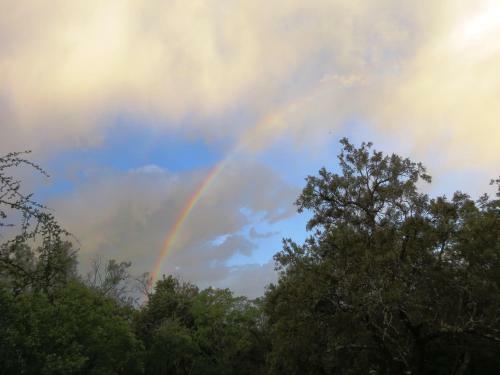 Meerkatplaats Guesthouse And B&B