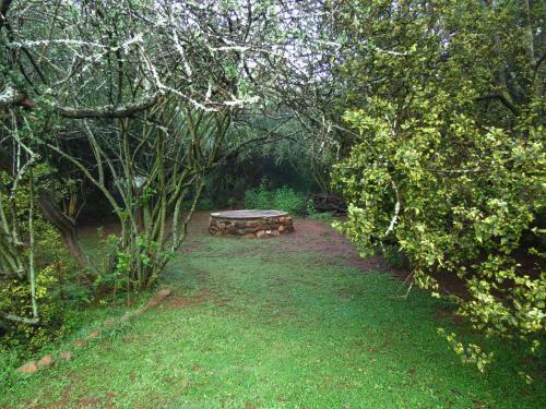 Meerkatplaats Guesthouse And B&B