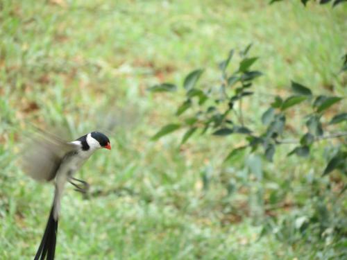 Meerkatplaats Guesthouse And B&B