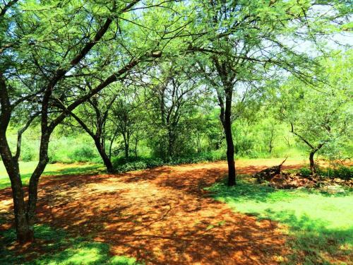 Meerkatplaats Guesthouse And B&B