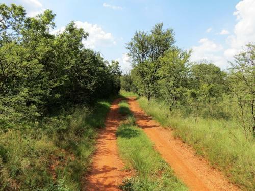 Meerkatplaats Guesthouse And B&B