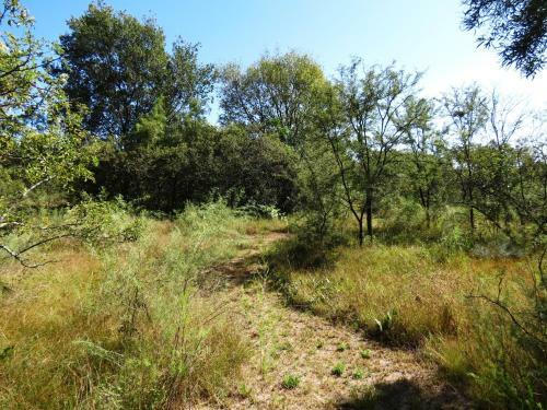 Meerkatplaats Guesthouse And B&B