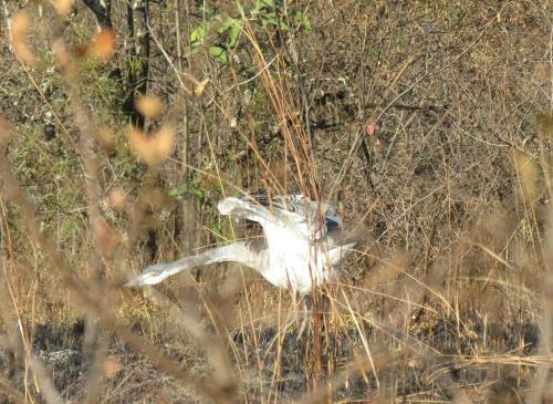 Meerkatplaats Guesthouse And B&B