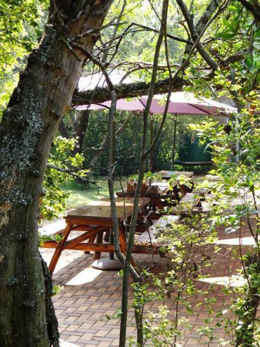 Meerkatplaats Guesthouse And B&B