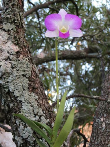 Meerkatplaats Guesthouse And B&B