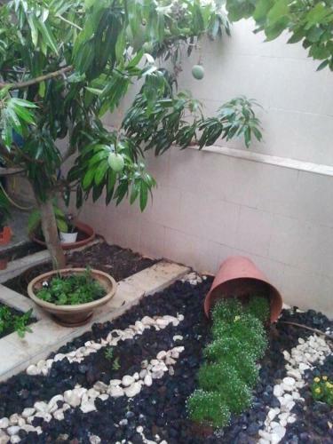Two Bedroom Apartment With Patio And Pool