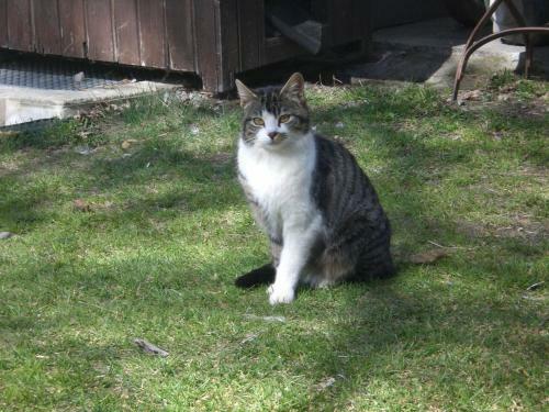 Hostal Patztauhof