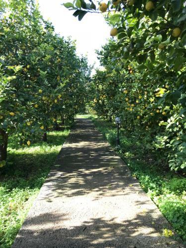 Agroturismo Villa Vesta