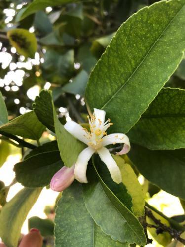 Agroturismo Villa Vesta