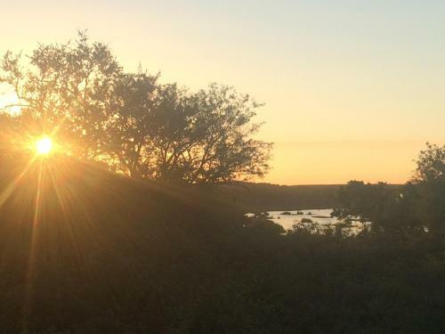 Hotel Bushwise Safari Lodge