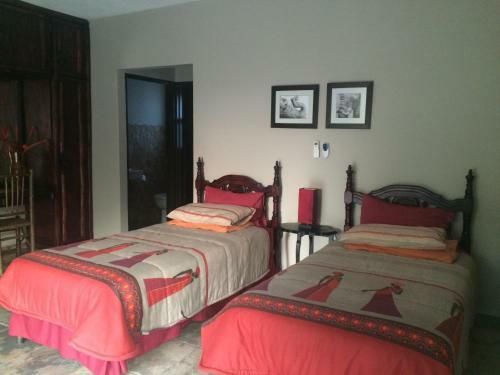 Hotel Bushwise Safari Lodge