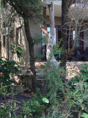 Hotel Bushwise Safari Lodge