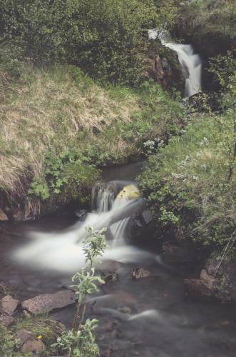 Kald� Lyngholt Holiday Homes