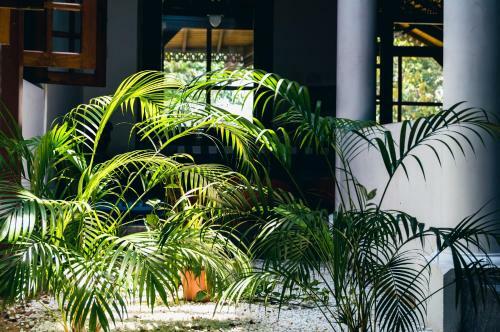 Hostel First @ Colombo Airport