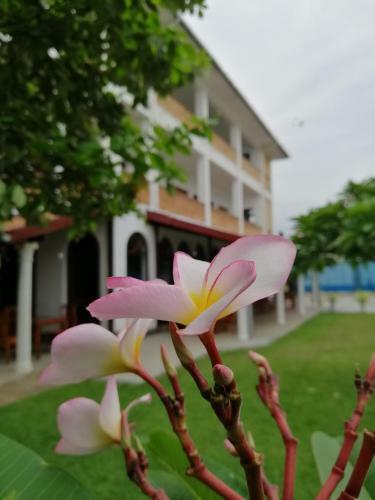 Hotel The Pearl Negombo Sri Lanka