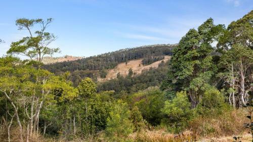 Ravensbourne Escape- Stella Luna