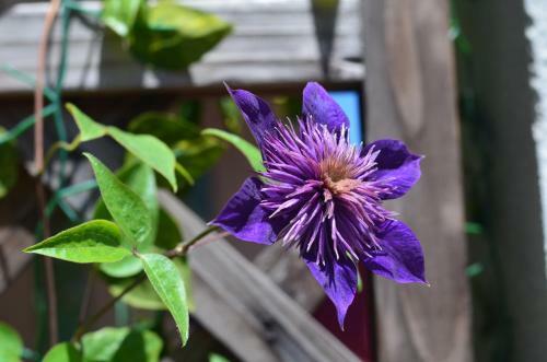 Posada Zhujiajian Time To Inn