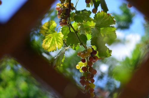 Posada Zhujiajian Time To Inn