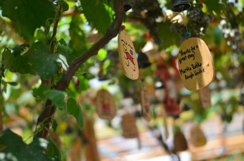 Posada Zhujiajian Time To Inn