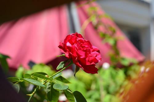 Posada Zhujiajian Time To Inn