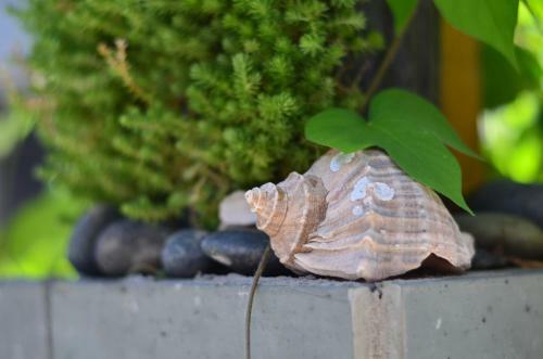 Posada Zhujiajian Time To Inn