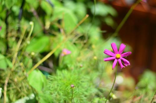 Posada Zhujiajian Time To Inn