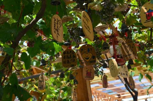 Posada Zhujiajian Time To Inn