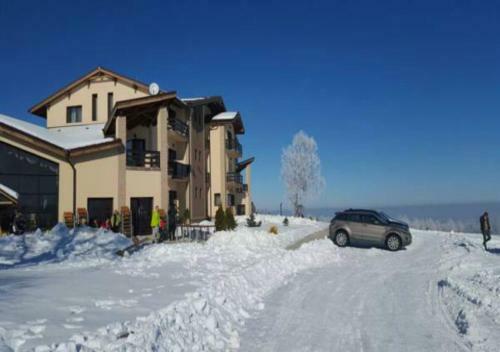 Hostal Pensiunea Poiana Viselor