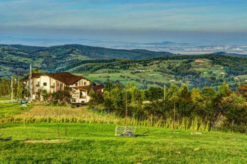 Hostal Pensiunea Poiana Viselor