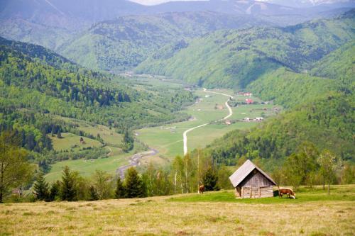 Hostal Pensiunea Poiana Viselor