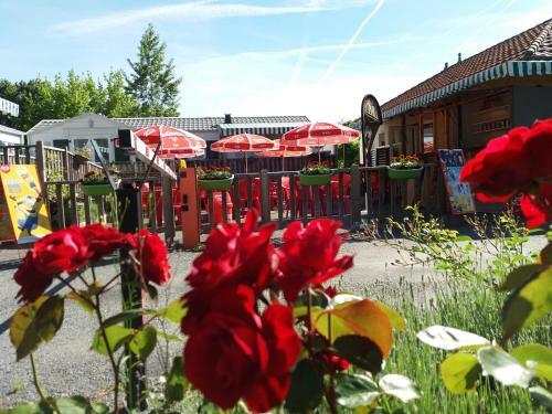 Le Plein Air Neuvicois