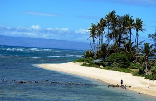 Apartamento Redawning Wavecrest C107