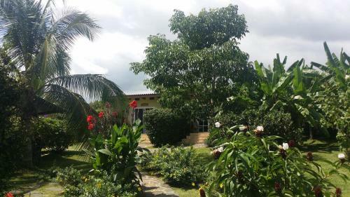 Bed & Breakfast Cabanas Los Colibris