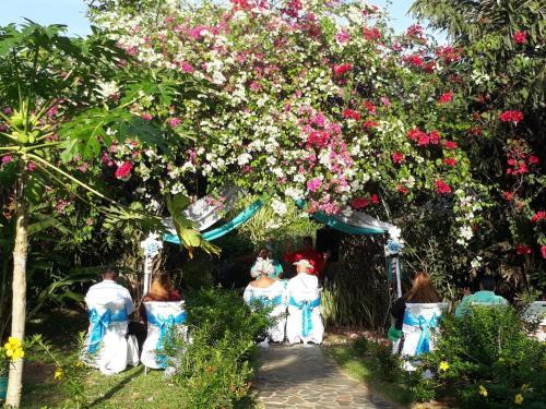 Bed & Breakfast Cabanas Los Colibris