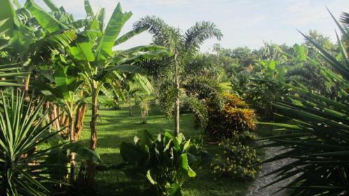 Bed & Breakfast Cabanas Los Colibris