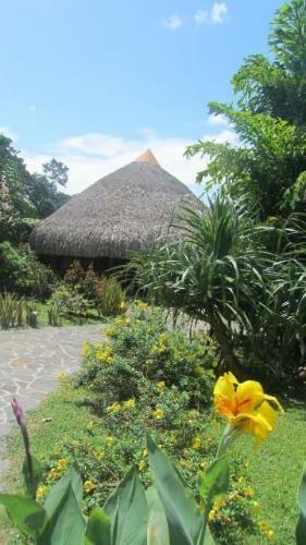 Bed & Breakfast Cabanas Los Colibris