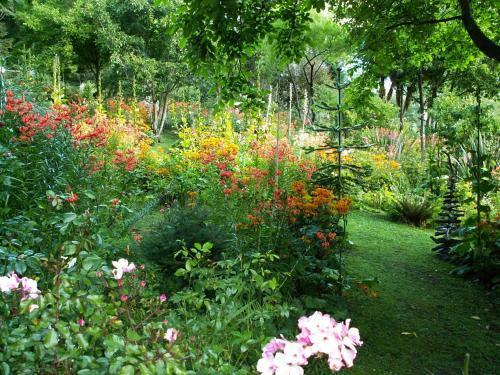 Hostal Little Paradise Lodge