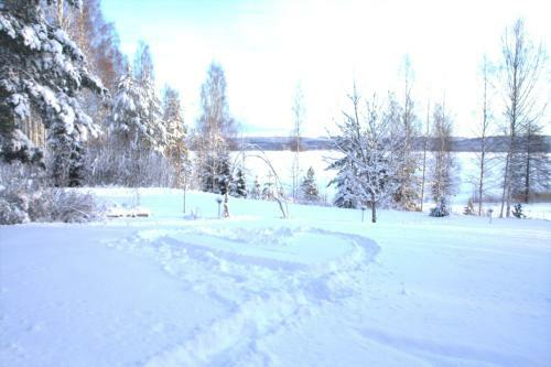 Villa Willa Rautalahti