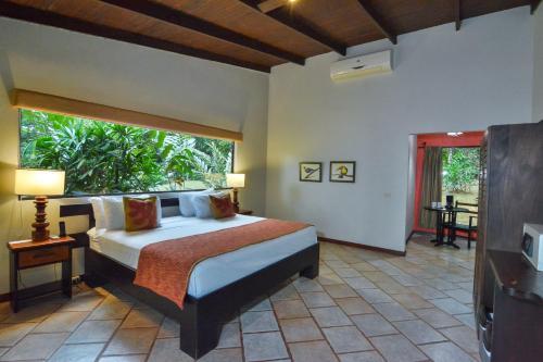 Albergue Chachagua Rainforest Hotel & Hacienda
