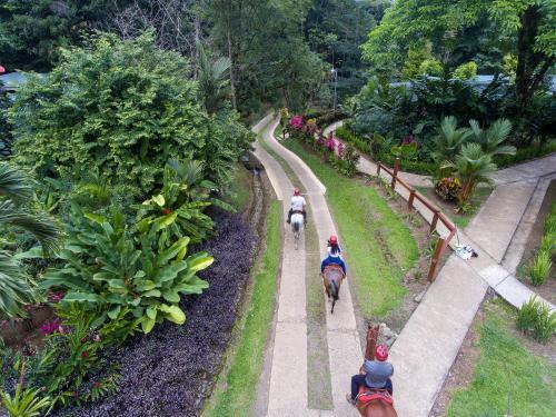 Albergue Chachagua Rainforest Hotel & Hacienda