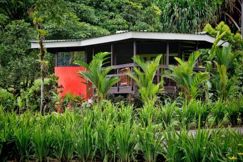 Albergue Chachagua Rainforest Hotel & Hacienda