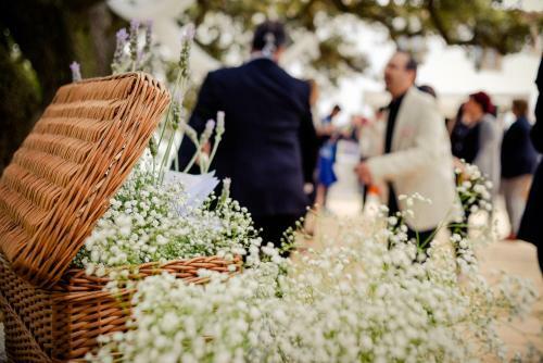 Agroturismo Masia Rural Cal Sim�