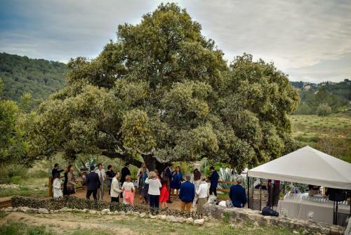 Agroturismo Masia Rural Cal Sim�