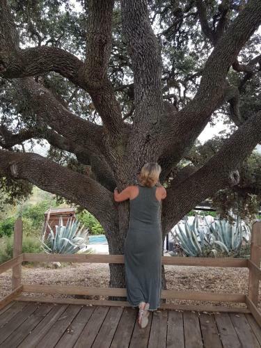 Agroturismo Masia Rural Cal Sim�