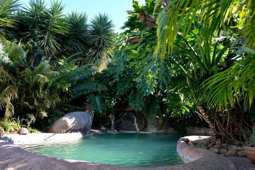 Hostal Cosmos Cuisine Addo