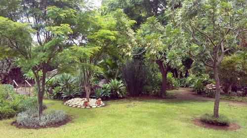 Hostal Cosmos Cuisine Addo